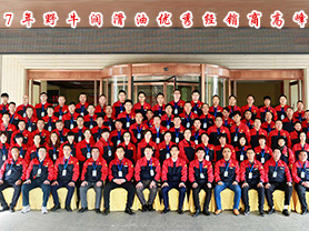 2017年野牛潤滑油優(yōu)秀經(jīng)銷商高峰會議