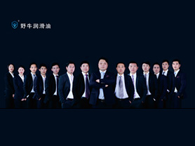 專業(yè)的野牛潤滑油團隊