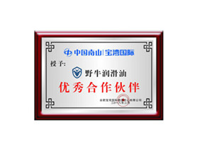 優(yōu)秀合作伙伴